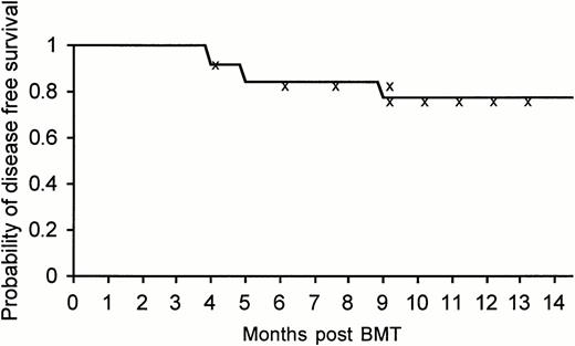 Fig. 2. Kaplan-Meier actuarial disease-free survival at 14 months of the entire group of 26 patients treated with allogeneic nonmyeloablative stem cell transplantation.