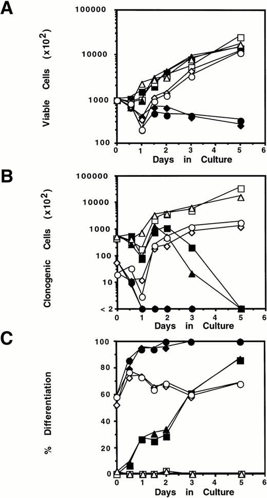 Fig. 5. Exposure of M1.WT1 +KTS cells to LIF results in the rapid suppression of proliferation and clonogenicity associated with the induction of terminal macrophage differentiation. M1 cell populations were cultured in the presence or absence of LIF (1 ng/mL) for the indicated timepoints and assessed for: (A) cellular proliferation as determined by counting viable cell numbers on eosin dye exclusion; (B) clonogenic potential as determined by colony formation in soft agar in the absence of LIF; and (C) differentiation as determined by Leishman's staining of cytospin preparations and scoring the proportion of blast cells to cells at intermediate monocytic and mature macrophage stages. (▪), M1 +LIF; (□), M1 −LIF; (▴), M1.Neo +LIF; (▵), M1.Neo −LIF; (⧫), M1.WT1.1 (+/+) +LIF; (◊), M1.WT1.1 (+/+) −LIF; (•), M1.WT1.2 (−/+) +LIF; (○), M1.WT1.2 (−/+) −LIF.