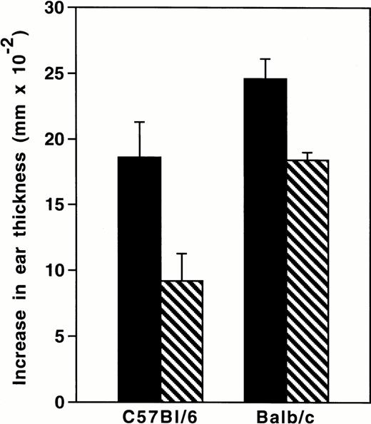 Fig. 2. Delayed-type hypersensitivity reactions. (A) Contact hypersensitivity reactions to oxazolone in IL-3–deficient (□) and wild-type littermates (▪). Values (n = 5) are mean ± SEM: C57BL/6, P = .025; BALB/c, P = .014. (B) Fibrin deposition during contact hypersensitivity to oxazolone (C57BL/6 background). P < .001 for oxazolone challenge. Plasma values for 125I-labeled fibrinogen 24 hours after injection were 1,948 ± 61.7 for +/+ mice and 1,879 ± 53.3 cpm for −/− animals. (C) Tumor protection in immunized female IL-3–deficient (▵) and wild-type littermates (○) (BALB/c background). Wild-type controls, no vaccine (□). All surviving animals at day 55 were tumor free. Pooled results from two independent experiments (10 mice per group). (D) Delayed-type hypersensitivity to irradiated tumor cells inoculated in the footpads of immunized female IL-3–deficient (□) and wild-type littermate mice (▪) (BALB/c background).