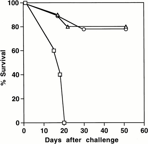 Fig. 2. Delayed-type hypersensitivity reactions. (A) Contact hypersensitivity reactions to oxazolone in IL-3–deficient (□) and wild-type littermates (▪). Values (n = 5) are mean ± SEM: C57BL/6, P = .025; BALB/c, P = .014. (B) Fibrin deposition during contact hypersensitivity to oxazolone (C57BL/6 background). P < .001 for oxazolone challenge. Plasma values for 125I-labeled fibrinogen 24 hours after injection were 1,948 ± 61.7 for +/+ mice and 1,879 ± 53.3 cpm for −/− animals. (C) Tumor protection in immunized female IL-3–deficient (▵) and wild-type littermates (○) (BALB/c background). Wild-type controls, no vaccine (□). All surviving animals at day 55 were tumor free. Pooled results from two independent experiments (10 mice per group). (D) Delayed-type hypersensitivity to irradiated tumor cells inoculated in the footpads of immunized female IL-3–deficient (□) and wild-type littermate mice (▪) (BALB/c background).