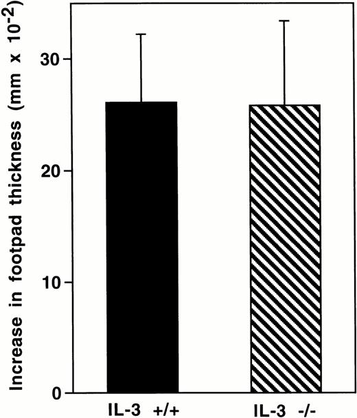 Fig. 2. Delayed-type hypersensitivity reactions. (A) Contact hypersensitivity reactions to oxazolone in IL-3–deficient (□) and wild-type littermates (▪). Values (n = 5) are mean ± SEM: C57BL/6, P = .025; BALB/c, P = .014. (B) Fibrin deposition during contact hypersensitivity to oxazolone (C57BL/6 background). P < .001 for oxazolone challenge. Plasma values for 125I-labeled fibrinogen 24 hours after injection were 1,948 ± 61.7 for +/+ mice and 1,879 ± 53.3 cpm for −/− animals. (C) Tumor protection in immunized female IL-3–deficient (▵) and wild-type littermates (○) (BALB/c background). Wild-type controls, no vaccine (□). All surviving animals at day 55 were tumor free. Pooled results from two independent experiments (10 mice per group). (D) Delayed-type hypersensitivity to irradiated tumor cells inoculated in the footpads of immunized female IL-3–deficient (□) and wild-type littermate mice (▪) (BALB/c background).