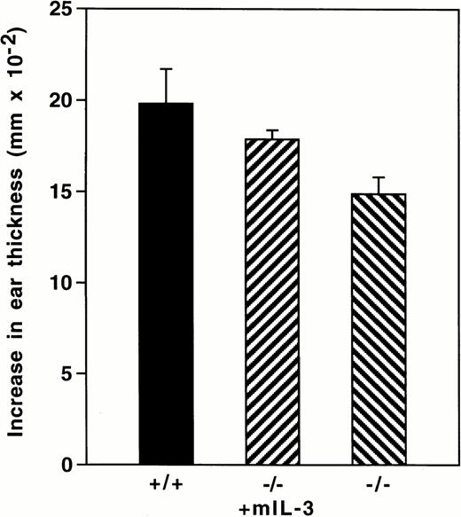 Fig. 3. IL-3 is required for hapten specific priming. (A) IL-3–deficient (□) and wild-type littermate controls (▪) (BALB/c) were tested for contact hypersensitivity to oxazolone. One hundred nanograms of murine IL-3 (in 1% mouse serum) (□) or vehicle only was administered intraperitoneally and subcutaneously (abdomen) 4 hours before, at the time of sensitization, and 6 hours afterwards. +/+ versus −/−, P = .03. −/− plus murine IL-3 versus −/−, P = .008. Murine IL-3 administered to unsensitized mice had no effect on secondary challenge. (B through D) Histopathology (tissues were formalin-fixed, paraffin-embedded, and stained with hematoxylin and eosin) of secondary oxazolone challenge sites in ears from mice (BALB/c background) killed 24 hours after challenge. (B) Ear reaction of a sensitized wild-type mouse. (C) Ear reaction of a sensitized IL-3–deficient mouse. (D) Ear reaction of a sensitized IL-3–deficient mouse administered IL-3 protein at the time of priming.