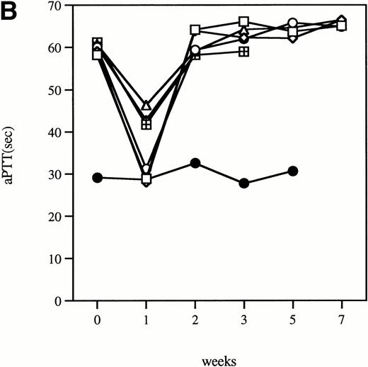 Fig. 1. Time course of aPTT-F.IX assays in hemophilia B mice following injection of 1 × 1011 particles of an adenoviral vector expressing human F.IX. Citrated plasma was collected and aPTT-F.IX assays performed at the indicated time points. Each symbol represents an individual animal, with each point an average of duplicate measurements. (A) C57B1/6 hemophilic mice. (B) CD-1 hemophilic mice. Mouse 7 is a normal littermate treated with the same dose of vector. (□), 1; (◊), 2; (○), 3; (▵), 4; (⊞), 5; (⧫), 6; (•), 7.
