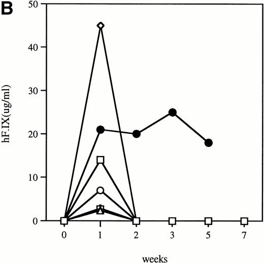 Fig. 2. Time course of plasma concentration of hF.IX in hemophilia B mice following intravenous injection of 1011particles Ad-F.IX. Plasma samples were collected at the indicated time points and hF.IX levels determined by ELISA. Each point is an average of duplicate measurements. (A) C57B1/6 hemophilic mice and 1 normal littermate (no. 7). (B) CD-1 hemophilic mice and 1 normal littermate (no. 7). In both cases the normal littermate was treated with the same dose of vector. (□), 1; (◊), 2; (○), 3; (▵), 4; (⊞), 5; (⧫), 6; (•), 7.