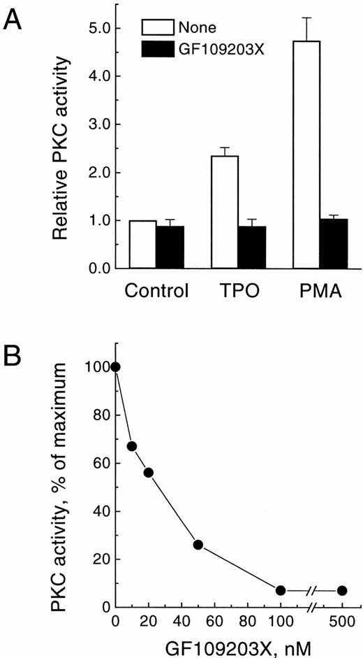 Fig. 3. Effect of GF109203X on the membrane-associated PKC activity translocated by TPO. (A) Inhibition of PMA-dependent or TPO-dependent membrane-associated PKC activity by GF109203X in intact cells. Quiescent UT-7/mpl 5.1 cells were preincubated for 15 minutes in the absence (□) or presence (▪) of 3 μmol/L GF109203X, and then treated for another 15 minutes with 40 ng/mL TPO or 50 nmol/L PMA. At the end of this period PKC activity was measured in the membrane fraction as described in Materials and Methods. Results represent the mean of four independent experiments ± SD. PKC activity is expressed relative to the level present in unstimulated cells incubated in parallel. (B) Inhibition of membrane-associated PKC activity as a function of GF109203X concentration in the assay. Cells were treated for 15 minutes with 40 ng/mL TPO and then PKC activity was measured in the membrane fraction in the presence of the indicated concentrations of GF109203X. Results are expressed as the percentage of PKC activity in the sample with no GF109203X added.