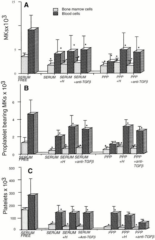 Fig. 3. Effects of culture conditions on MK growth (A), proplatelet formation (B), and platelet production (C). CD34+ cells from marrow (n = 3, ▧) or blood (n = 3, ▧) were grown during 14 days in the presence of PEG-rHuMGDF (10 ng/mL) in serum-free conditions, in serum derived from PPP, or normal serum in the absence or presence of heparin (H) or an anti–TGF-β antibody. MKs and platelet bearing MKs were enumerated using an inverted microscope and hemocytometer. The results represent the mean ± SD of three independent experiments, and are expressed per 1 × 103 plated CD34+ cells. Asterisks denote a significative difference (P < .05) in comparison with culture in serum-free conditions.