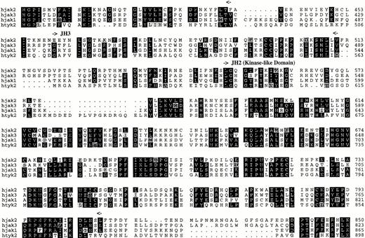 Fig. 2. Comparison of the predicted amino acid sequence of members of the human Jak family kinases. Alignment was performed with the PILEUP program (Genetics Computer Group, Madison, WI). Identical residues are shown on a black background, and related residues are shaded. Gaps were introduced for optimal alignment and are indicated by hyphens. Boundaries of the Jak homology (JH) domains are denoted by arrows.