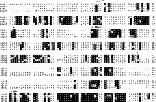Fig. 2. Comparison of the predicted amino acid sequence of members of the human Jak family kinases. Alignment was performed with the PILEUP program (Genetics Computer Group, Madison, WI). Identical residues are shown on a black background, and related residues are shaded. Gaps were introduced for optimal alignment and are indicated by hyphens. Boundaries of the Jak homology (JH) domains are denoted by arrows.