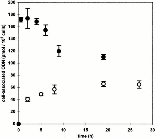 Fig. 2. Time course of cationic lipid-mediated ODN uptake in blood-derived mononuclear cells. Cells were incubated with 0.3 μmol/L radiolabeled ODN complexed to DOTAP (○) or DOSPER (•) for the indicated times. Means and standard deviations of three independent experiments are presented.