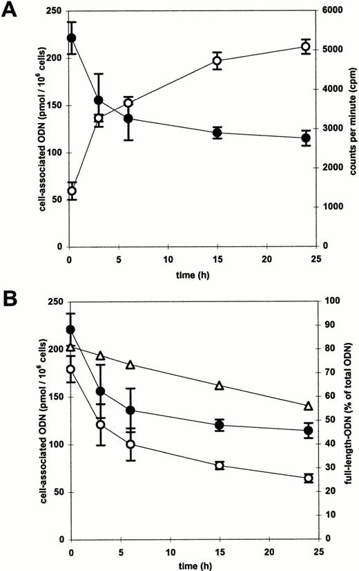 Fig. 8. (A) Time course of extracellular (○) and cell-associated (•) radioacivity in CD34+ cells. After a 2-hour incubation with radiolabeled ODN/DOSPER complexes the medium was removed and cells were resuspended in fresh medium. Radioactivity was measured at indicated time points by liquid scintillation counting. (B) Time course of cell-associated full-length ODN (○). The proportion of full-length ODN to the whole cell-associated radioactivity as determined by PhosphorImager analysis of a polyacrylamide gel is shown as a function of time by (▵). Multiplication of this function with the function of cell-associated radioactivity (•) resulted in the curve indicating the time course of cell-associated full-length ODN.