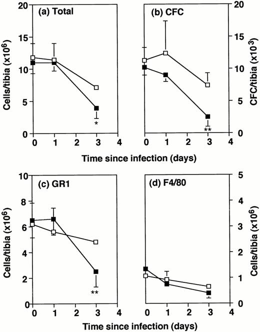 Fig. 2. Number of bone marrow cells in wild-type and GM-CSF−/− mice following Listeria infection. GM-CSF−/− mice (▪) and wild-type mice (□) were either uninfected or infected intraperitoneally with 2 × 105 Listeria for 1 or 3 days. Bone marrow cells were flushed from the tibia of individual mice. Data represent the mean and SD of individual tibia of five mice in each group. *P < .05 and **P < .01 compared with wild-type mice which were infected with the same dose ofListeria. Results were from one of three similar experiments. (a) Total cells recovered per tibia. (b) Colony forming cells per tibia. (c) Gr1+ cells per tibia. (d) F4/80+cells per tibia.
