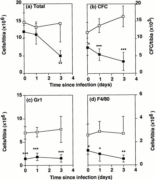 Fig. 4. Number of bone marrow cells in wild-type and G-CSF−/− mice following Listeria infection. G-CSF−/− mice (▪) and wild-type mice (□) were either uninfected or infected intraperitoneally with 2 × 104 Listeria for 1 or 3 days. Bone marrow cells were flushed from the tibia of individual mice. Data represent the mean and standard deviation of individual tibia of five mice in each group. *P < .05, **P < .01, and ***P < .001 compared with wild-type mice which were infected with the same dose ofListeria. Results were from one of three similar experiments. (a) Total cells recovered per tibia. (b) Colony forming cells per tibia. (c) Gr1+ cells per tibia. (d) F4/80+cells per tibia.