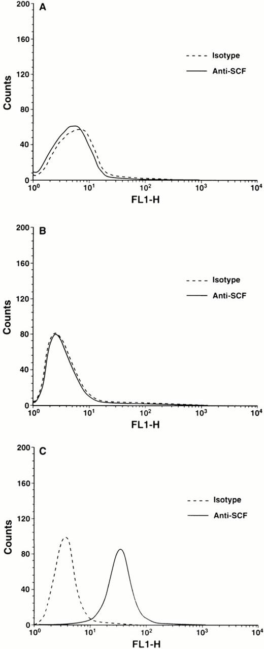 Fig. 3. Flow cytometric analysis of the cell surface expression of SCF isoforms on stromal cells. Stromal cells stably transfected with cDNAs encoding either the soluble (Sl/Sl4-S) or the MR (Sl/Sl4-MR) form of SCF were stained for flow cytometric analysis as described in Materials and Methods. (A) Parental Sl/Sl4 cells were stained with either isotype control (dotted line) or rat anti-mouse SCF (solid line) MoAb followed by FITC-conjugated goat F(ab′)2 anti-rat IgG secondary; (B) Sl/Sl4-S cells were stained with either isotype control (dotted line) or rat anti-mouse SCF (solid line) MoAb followed by FITC-conjugated goat F(ab′)2 anti-rat IgG secondary; (C) Sl/Sl4-MR cells were stained with either isotype control (dotted line) or rat anti-mouse SCF (solid line) MoAb followed by FITC-conjugated goat F(ab′)2 anti-rat IgG secondary.