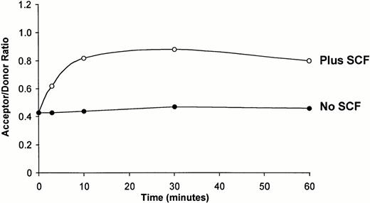 Fig. 2. Dimerization of the c-kit receptor is detectable within 3 minutes after the addition of SCF. MO7e cells were labeled with 104D2-FITC plus 104D2-Cy3 for 45 minutes at 4°C, then incubated in the absence (•) or presence (○) of SCF (200 ng/mL) for 3 minutes, 10 minutes, 30 minutes, or 60 minutes at 37°C, fixed, and analyzed as described in Table 2. Two additional experiments gave similar results. Analysis of variance with a post hoc Student'st-test was used to determine if the acceptor/donor ratios at the various time points in the three experiments were different than the values at time 0. In the presence of SCF, the acceptor/donor ratios at 3 minutes, 10 minutes, 30 minutes, and 60 minutes were different than the acceptor/donor ratio at time 0 (P < .05).