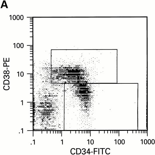 Fig. 2. Flow cytometric analysis of CD34+, CD34+CD38+, and CD34+CD38− cell subsets used to initiate BMLTC. (A) Scatter diagram of CD34+ selected cells stained with FITC-labeled CD34 MoAb and PE-labeled CD38 MoAb, in which Log PE fluorescence intensity was displayed versus Log FITC fluorescence intensity. (B) CD34+ cells were gated and sorted. (C) A scatter diagram of gated CD34+ cells sorted for absence of the CD38 activation marker (most-primitive BM stem cells). (D) The log PE fluorescence intensity (CD38) of an affinity column purified CD34+ cell population was displayed versus Log PerCP-fluorescence intensity (CD4). Results of one representative experiment illustrated.