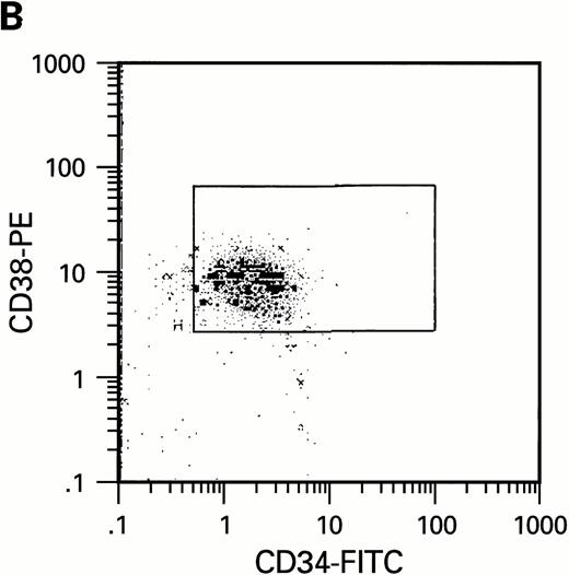 Fig. 2. Flow cytometric analysis of CD34+, CD34+CD38+, and CD34+CD38− cell subsets used to initiate BMLTC. (A) Scatter diagram of CD34+ selected cells stained with FITC-labeled CD34 MoAb and PE-labeled CD38 MoAb, in which Log PE fluorescence intensity was displayed versus Log FITC fluorescence intensity. (B) CD34+ cells were gated and sorted. (C) A scatter diagram of gated CD34+ cells sorted for absence of the CD38 activation marker (most-primitive BM stem cells). (D) The log PE fluorescence intensity (CD38) of an affinity column purified CD34+ cell population was displayed versus Log PerCP-fluorescence intensity (CD4). Results of one representative experiment illustrated.