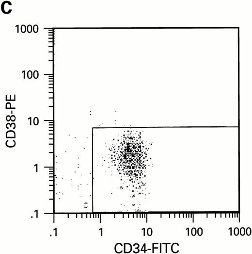 Fig. 2. Flow cytometric analysis of CD34+, CD34+CD38+, and CD34+CD38− cell subsets used to initiate BMLTC. (A) Scatter diagram of CD34+ selected cells stained with FITC-labeled CD34 MoAb and PE-labeled CD38 MoAb, in which Log PE fluorescence intensity was displayed versus Log FITC fluorescence intensity. (B) CD34+ cells were gated and sorted. (C) A scatter diagram of gated CD34+ cells sorted for absence of the CD38 activation marker (most-primitive BM stem cells). (D) The log PE fluorescence intensity (CD38) of an affinity column purified CD34+ cell population was displayed versus Log PerCP-fluorescence intensity (CD4). Results of one representative experiment illustrated.