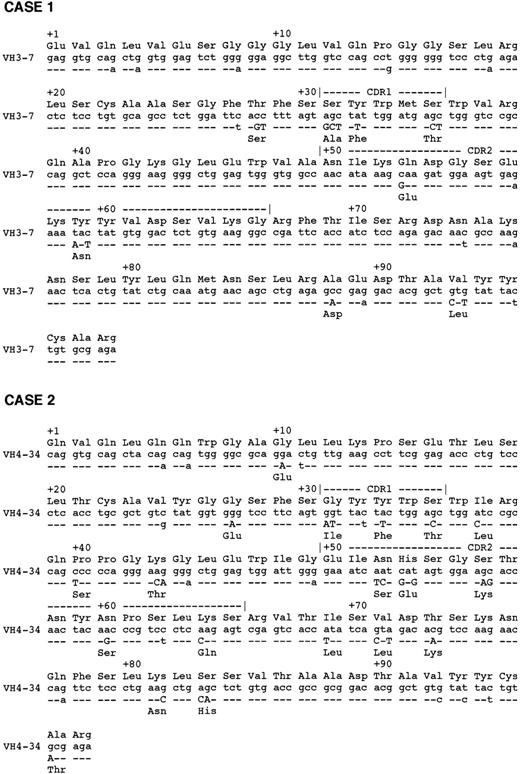 Fig. 3. Alignment of VH regions. Alignment of VH sequences of 4 cases of CD5+ DLBLs, their closest germline, and amino acids from the beginning framework region 1 to the end of framework region 3 are shown.