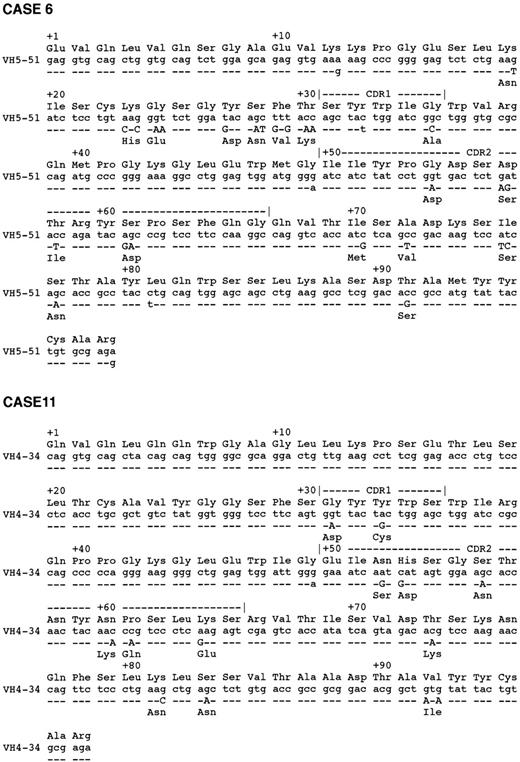 Fig. 3. Alignment of VH regions. Alignment of VH sequences of 4 cases of CD5+ DLBLs, their closest germline, and amino acids from the beginning framework region 1 to the end of framework region 3 are shown.