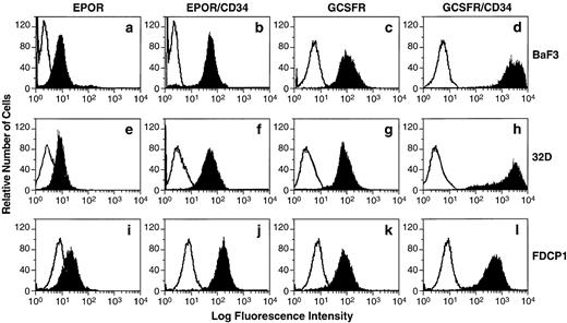 Fig. 5. Expression of EPOR, G-CSFR, and their chimeric receptors EPOR/CD34 and G-CSFR/CD34 on the BaF3 or 32D or FDCP1 cell transfectants. BaF3 (a through d), 32D (e through h), or FDCP1 (i through l) cells were stably transfected with each receptor expression construct as indicated, and individual positive cell clones were selected by flow cytometry analyses. The vector-transfected cells (negative controls, open histograms) or the receptor-transfected cells (solid histograms) were stained with either anti-EPOR MoAb or the FITC-labeled G-CSF. The staining profiles of the transfected cells with an isotype-matched control MoAb are the same as those of negative controls, which are depicted as open histograms.