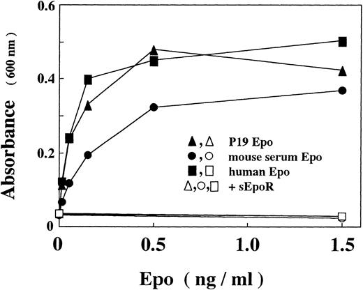 Fig. 1. In vitro activity of Epo produced by P19 cells. Epo activity was assayed with Epo-dependent proliferation of Ep-FDC-P2 cells measuring the increased absorbance at 600 nm due to reduction of MTT. (▴, ▵) P19 Epo; (•, ○) mouse serum Epo; (▪, □) human recombinant Epo; (▵, ○, □) in the presence of sEpoR capable of binding with Epo. When assayed in the presence of sEpoR, Epo was preincubated with sEpoR (100 μg/mL) for 1 hour. Each point is the mean of duplicate assays.