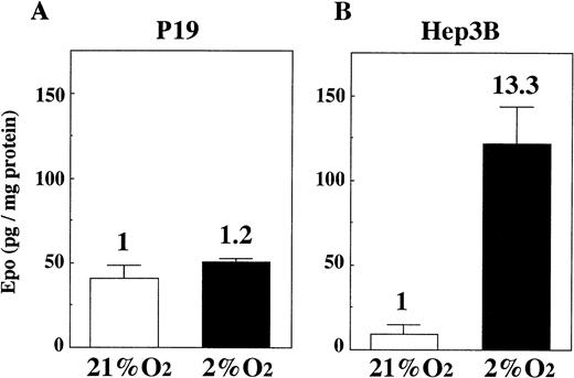 Fig. 2. Oxygen-independent production of Epo by P19 cells. P19 cells and Hep3B cells were cultured in 21% and 2% oxygen for 24 hours. Epo concentration in the spent medium and the total cellular proteins were determined. Epo production is given as Epo (in picograms) per milligram of cellular protein. Inducibility (2% oxygen/21% oxygen) is indicated. Each value is the mean ± SD of triplicate experiments.