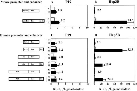 Fig. 4. The hypoxia-inducible enhancer of mouse and human Epo gene functions in Hep3B cells but not in P19 cells. Transient expression of reporter constructs in 21% oxygen (N) and in 2% oxygen (H) was assayed. (A and C) P19 cells; (B and D) Hep3B cells. m0.2k, 0.2-kb mouse Epo promoter; mEn, mouse Epo enhancer; En, human Epo enhancer. 0.2k, 1.6k, and 3.5k represent 0.2-kb, 1.6-kb, and 3.5-kb 5′-flanking regions of human Epo gene. Relative light units (RLU; Luc activity) per β-galactosidase activity are shown. Hypoxic inducibility (the ratio of Luc activity in 2% v 21% oxygen) is also indicated. Each value is the mean ± SD of triplicate experiments.