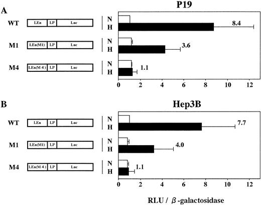 Fig. 7. P19 cells possess an intact hypoxia-signaling pathway through HIF-1 activation. Transient expression of reporter constructs in 21% oxygen (N) and in 2% oxygen (H) was assayed. (A) P19 cells; (B) Hep3B cells. WT, wild type; M1, mutant in the HIF-1 binding site 1; M4, mutant in the HIF-1 binding site 2; LEn, LDHA enhancer; LP, LDHA promoter. Relative light units (RLU; Luc activity) per β-galactosidase activity are shown. Hypoxic inducibility (the ratio of Luc activity in 2% oxygen v 21% oxygen) is shown. Each value is the mean ± SD of triplicate experiments.