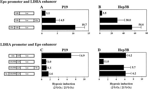 Fig. 8. Hypoxic interaction between heterologous promoters and enhancers. (A and C) P19 cells; (B and D) Hep3B cells. Transient expression of reporter constructs in 21% and 2% oxygen was assayed. Hypoxic inducibility (the ratio of Luc activity in 2% oxygen v21% oxygen) is indicated. pLEn(M4)LPLuc shows little hypoxic inducibility in both P19 and Hep3B cells (see also Fig 7). Each value is the mean ± SD of triplicate experiments.