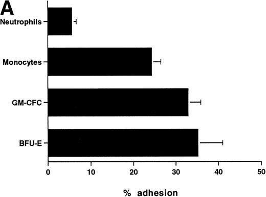 Fig. 1. Adhesion of hematopoietic cells to endothelium. (A) Adhesion of neutrophils, monocytes, and CFCs in freshly isolated peripheral blood CD34+-selected cells to HUVECs. All adhesion assays were performed over 1 hour. Data are mean ± SEM of seven experiments with neutrophils, four with monocytes, and five with CD34+ selected cells. (B) Comparison of the adhesion of CFCs to BMECs and to HUVECs. Data are mean ± SEM of six paired experiments.