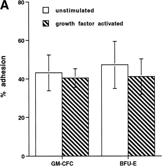 Fig. 4. Effect of growth factor stimulation on adhesion and transmigration of CFCs in peripheral blood CD34+-selected cells. (A) Percentage adhesion of GM-CFCs to HUVECs before (unstimulated) and after 3 days of growth factor stimulation (growth factor activated), mean ± SEM of five experiments. (B) Effect of growth factor stimulation (3 days) on transmigration of GM-CFCs and BFU-E across HUVECs (mean ± SEM of eight experiments). (C) Kinetics of growth factor-induced upregulation of GM-CFC migration across HUVECs, mean ± SEM of three experiments. (D) Transmigration of unstimulated, and 3-day growth factor-activated GM-CFs across BMECs and HUVECs. Data are the mean ± SEM of the percent migration of GM-CFCs in four paired experiments.
