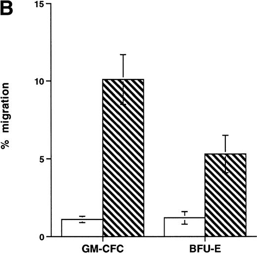 Fig. 4. Effect of growth factor stimulation on adhesion and transmigration of CFCs in peripheral blood CD34+-selected cells. (A) Percentage adhesion of GM-CFCs to HUVECs before (unstimulated) and after 3 days of growth factor stimulation (growth factor activated), mean ± SEM of five experiments. (B) Effect of growth factor stimulation (3 days) on transmigration of GM-CFCs and BFU-E across HUVECs (mean ± SEM of eight experiments). (C) Kinetics of growth factor-induced upregulation of GM-CFC migration across HUVECs, mean ± SEM of three experiments. (D) Transmigration of unstimulated, and 3-day growth factor-activated GM-CFs across BMECs and HUVECs. Data are the mean ± SEM of the percent migration of GM-CFCs in four paired experiments.