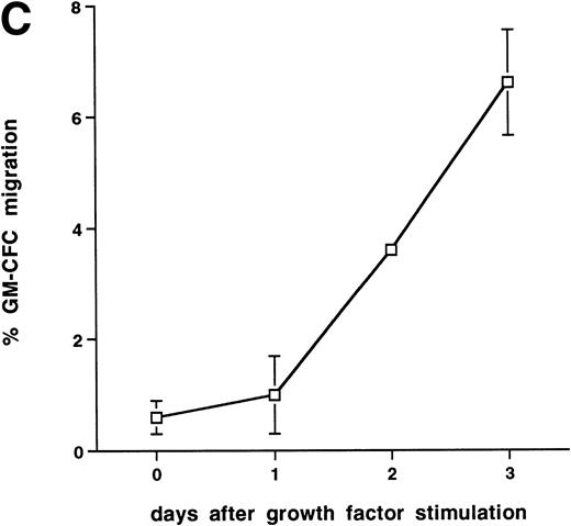 Fig. 4. Effect of growth factor stimulation on adhesion and transmigration of CFCs in peripheral blood CD34+-selected cells. (A) Percentage adhesion of GM-CFCs to HUVECs before (unstimulated) and after 3 days of growth factor stimulation (growth factor activated), mean ± SEM of five experiments. (B) Effect of growth factor stimulation (3 days) on transmigration of GM-CFCs and BFU-E across HUVECs (mean ± SEM of eight experiments). (C) Kinetics of growth factor-induced upregulation of GM-CFC migration across HUVECs, mean ± SEM of three experiments. (D) Transmigration of unstimulated, and 3-day growth factor-activated GM-CFs across BMECs and HUVECs. Data are the mean ± SEM of the percent migration of GM-CFCs in four paired experiments.