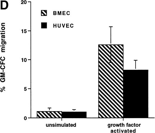 Fig. 4. Effect of growth factor stimulation on adhesion and transmigration of CFCs in peripheral blood CD34+-selected cells. (A) Percentage adhesion of GM-CFCs to HUVECs before (unstimulated) and after 3 days of growth factor stimulation (growth factor activated), mean ± SEM of five experiments. (B) Effect of growth factor stimulation (3 days) on transmigration of GM-CFCs and BFU-E across HUVECs (mean ± SEM of eight experiments). (C) Kinetics of growth factor-induced upregulation of GM-CFC migration across HUVECs, mean ± SEM of three experiments. (D) Transmigration of unstimulated, and 3-day growth factor-activated GM-CFs across BMECs and HUVECs. Data are the mean ± SEM of the percent migration of GM-CFCs in four paired experiments.