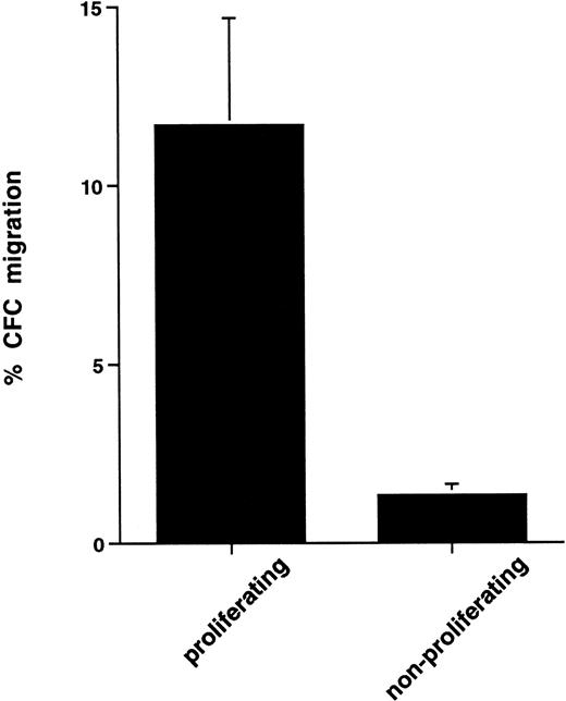 Fig. 6. Comparison of transmigration of proliferating and nonproliferating CFCs in cytokine-activated peripheral blood CD34+ cells. Determination of CFC proliferation was done by 3H-thymidine assay as detailed in the Materials and Methods. Clonogenic assays were set up with both control and3H-thymidine–treated cells before and after transmigration, and percent migration of proliferating versus nonproliferating CFCs was then calculated as outlined in the Materials and Methods. Data are the mean ± standard deviation of five separate experiments.