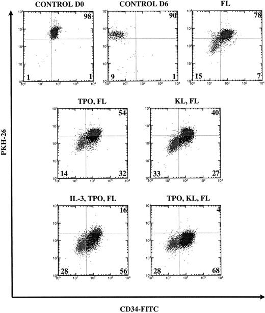 Fig. 1. FACS analysis of CD34+Thy-1+Lin− cells cultured for 6 days in various cytokine combinations containing FL. Numbers are percentages of cells in each quadrant from a representative experiment. Loss of PKH26 fluorescence indicates cell division. Loss of CD34 expression indicates differentiation. Control cells were cultured overnight (D0) or for 6 days (D6) without cytokines and quadrants were set using live-gated undivided cells. The percentages of undivided cells (UR and UL quadrants) are combined.