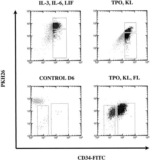 Fig. 2. FACS sort gates based on PKH26 versus CD34 fluorescence. After 6 days of culture of CD34+Thy-1+Lin− cells in different combinations of cytokines, cells were stained with anti-CD34-FITC. Sort gates shown are on live (PI low) cells. These were set based on the PKH26 profile of live unstimulated control cells. Each cytokine condition required a different tissue for sorting and therefore sort gates varied accordingly.