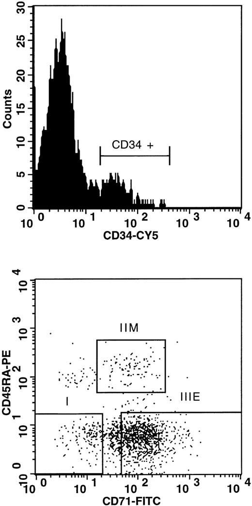 Fig. 1. FACS profiles of the CD34+ subpopulations isolated from donor no. 1: subpopulation I, CD34+CD45RA−CD71− (highly enriched in LTC-IC); subpopulation IIM, CD34+CD45RA+CD71lo (highly enriched in CFU-GM); subpopulation IIIE, CD34+CD45RA−CD71hi (highly enriched in BFU-E ). FITC, fluorescein isothiocyanate; PE, phycoerythrin.