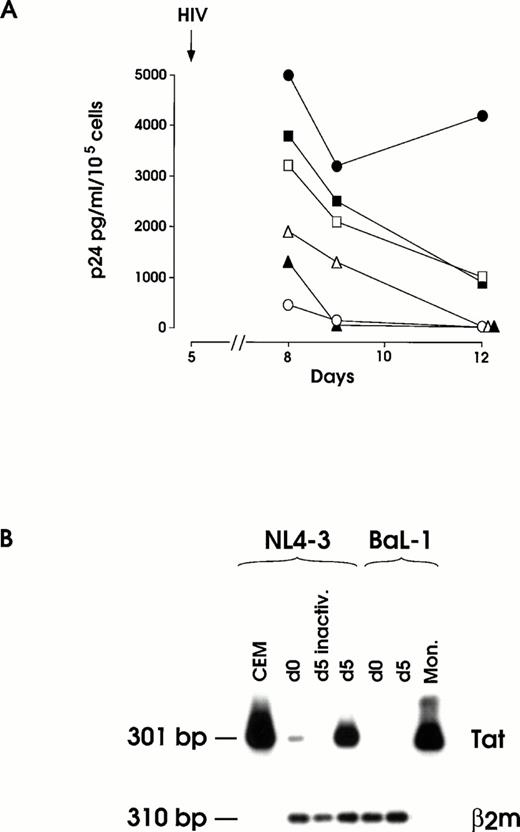 Fig. 3. (A) HIV infection and inhibition thereof by OKT4A MoAbs at day 5 of megakaryopoietic cell culture (representative results from the same experiment shown in Fig 2). Cells preincubated or not with 1 to 5 μg OKT4A MoAb were infected with 0.1 m.o.i. NL4-3. After extensive washing, MoAb was added again and cells maintained in culture medium. Results from BaL-1 infection of day 5 MKs are also shown. UT-7 cells challenged with infectious NL4-3 and MKs treated with heat-inactivated virus were used as negative controls. (•) MK and NL4-3; (▪) MK + 1 μg OKT4A + NL4-3; (□) MK + 5 μg OKT4A + NL4-3; (○) UT-7 + NL4-3; (▴) MK-inactivated NL4-3; (▵) MK BaL-1. (B) RT-PCR of total RNA isolated from day 12 harvested cells infected at day 0 or day 5 with infectious or heat-inactivated (inactiv.) NL4-3 or infectious BaL-1 strain. CEM and primary monocytes (Mon.), infected with NL4-3 or BaL-1, respectively, were used as positive controls. β2m RT-PCR was performed on MKs cells for mRNA normalization.