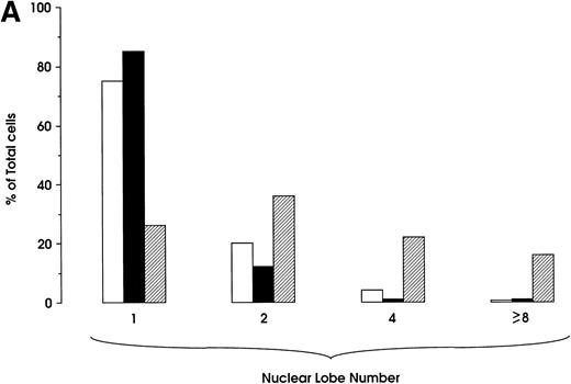 Fig. 7. (A) Percentage of MKs classified on the basis of nuclear lobes as evaluated by optical microscopy: cells were treated with 20 or 200 ng/mL of recombinant Tat protein starting from day 0 and harvested at day 12 (results from a representative experiment). (□) Tat 20 ng; (▪) Tat 200 ng; (▨) control. (B) Flow cytometry analysis of CD61, CD62, and CD41b expression in day 9 MKs grown in either absence (control) or presence of Tat protein (20 or 200 ng/mL starting from day 0 of culture). The negative control is shown on the far left in each panel (thin line peak).