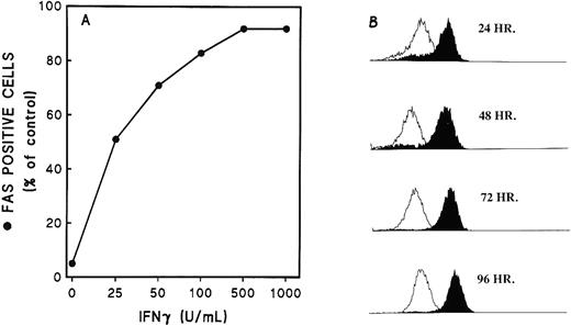 Fig. 4. Expression of Fas on ECFCs after incubation with rhIFNγ. Day-5 cells were cultured in liquid medium in the presence of rhIFNγ at 0 to 1,000 U/mL for 48 hours (A) or at 1,000 U/mL for 24 to 96 hours (B). At the indicated times, the cells were incubated with FITC-MoAb to Fas (CD95) or FITC-murine IgG1. Flow cytometric analysis was then performed. The open histogram shows the CD95 fluorescence of the cells incubated without rhIFNγ and the solid histogram shows the CD95 fluorescence of the rhIFNγ-treated cells. The purity of the day-7 cells was 89% ± 9% (A) and 81% ± 7% (B).