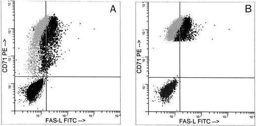 Fig. 6. FasL expression in day-5 cells. Day-5 cells were analyzed for FasL by indirect immunofluorescence using a specific murine antihuman FasL MoAb or an isotype control added after permeabilization and were stained with FITC-goat antimouse IgG1. After blocking with mouse IgG in PBS, the cells were incubated with PE-MoAb to human CD71 to identify ECFCs. The histogram shown represents three separate staining procedures with superimposed data: (1) population in lower left quadrant represents fluorescence produced by presence of indirect isotype control plus FITC-goat antimouse IgG1 and murine PE-IgG1; (2) gray represents the fluorescence produced by the presence of indirect isotype control plus FITC-goat antimouse IgG1 and specific PE-MoAb to human CD71; (3) dark black represents fluorescence produced by indirect MoAb to FasL stained with FITC-goat antimouse IgG1 and PE-MoAb to CD71. (A) CD71+ large cell population, representing 84% of all cells; 99% of the cells were CD71+ and 47% were FasL+. (B) Large cells bearing high intensity CD71+ from the same experiment, representing 79% of all cells. Among these cells, 100% were CD71+ and 64% were FasL+. The purity of the ECFCs was 65% ± 6%.