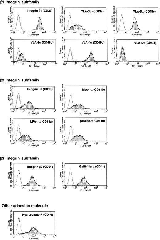 Fig. 3. Phenotypic characterization of HEL cells stained with various anti-adhesion molecule antibodies. HEL cells (105cells each) were incubated with 5 μg of anti-CD29, CD18, CD61, CD49b, CD49c, CD49d, CD49e, CD49f, CD11a, CD11b, CD11c, CD41 or CD44 MoAb in PBS-supplemented 0.5% (wt/vol) BSA and 5 mmol/L EDTA for 30 minutes at 4°C. After incubation, the cells were washed twice with the same buffer and then stained with FITC-labeled anti-mouse IgG sheep F(ab′)2 fragment in the same buffer for 30 minutes. After staining, the cells were washed twice and then analyzed by flow cytometry. For analysis of the expression of adhesion molecules on HEL cells, the specified gate for HEL cells was set in the plot of forward and side scatter. The MoAb used is indicated at the top of each histogram. The shaded peak indicates the expression of the adhesion molecule on HEL cells stained with an anti-adhesion molecule MoAb. The dotted line indicates the background for HEL cells stained with only FITC-labeled anti-mouse IgG F(ab′)2 fragment.
