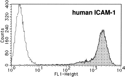Fig. 6. Growth-stimulating activity toward HEL cells on coculture with stable human ICAM-1 expressing CHO-K1 cells. (A) Phenotypic analysis of stable human ICAM-1-expressing CHO-K1 cells. Stable human ICAM-1–expressing CHO-K1 cells were prepared by the method described under Materials and Methods. The cells were stained with anti-human ICAM-1 MoAb and FITC-conjugated antimouse IgG F(AB′) fragment, successively, and then analyzed by flow cytometry. The shaded peak indicates the expression of ICAM-1 on the stable transformant and the dotted line indicates that on mock-transfected CHO-K1 cells. (B) Growth-stimulating activity toward HEL cells on coculture with stable ICAM-1–expressing CHO-K1 cells. HEL cells (5 × 103cells) were seeded onto irradiated confluent layers of HESS-5 cells (HESS-5), CHO-K1 cells (CHO-K1), and stable human ICAM-1–expressing CHO-K1 cells (CHO-ICAM1) in 200 μL of RPMI-1640 medium supplemented with 0.1% BSA in triplicate. After 3 days of culture, the3H-thymidine incorporation by HEL cells was measured by the method described under Materials and Methods. The results are expressed as mean values ± SD of the mean.
