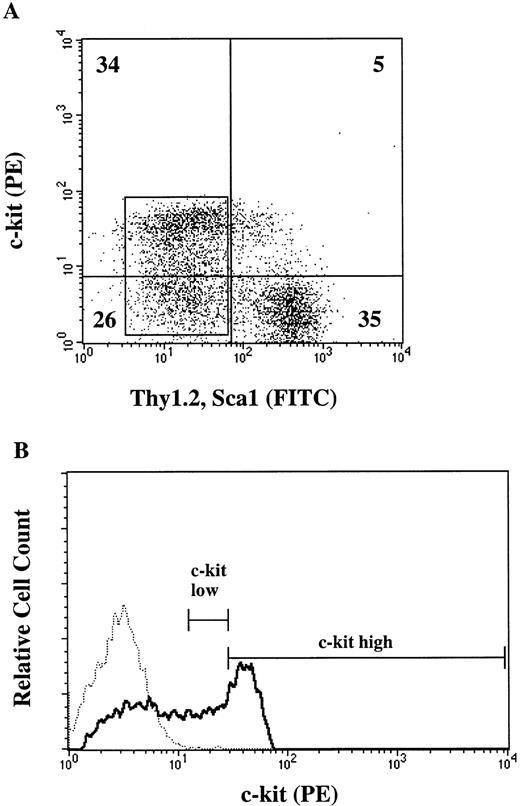 Fig. 2. Expression of cell surface markers (c-kit, Thy1.2, and Sca1) on Lin− cells. (A) Two-color flow cytometric analysis of lin− cells stained for c-kit, Thy1.2, and Sca-1. Numbers represent percent of cells in the given areas. (B) Fluorescence histogram of Lin−Thy−Sca− cells (boxed area in A) analyzed for c-kit expression. The dotted line indicates an isotype control. Lines indicate the gate for the collection of c-kitlow and c-kithigh cells.