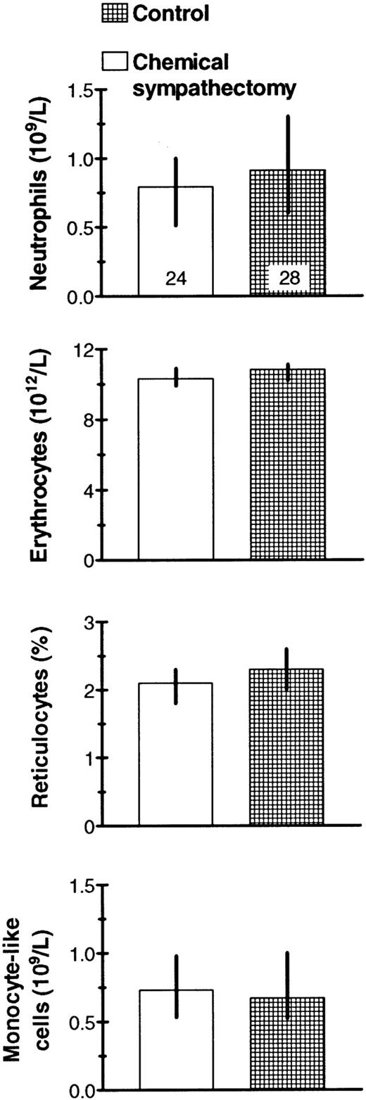 Fig. 2. Blood cell concentrations in chemically sympathectomized and control animals. Median values with their 95% confidence intervals and the number of mice examined (top columns) are given.