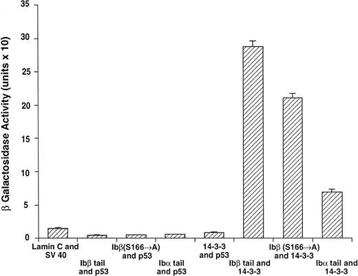 Fig. 2. 14-3-3ζ binds to the cytoplasmic domains of GPIbα and GPIbβ in yeast. Yeast were cotransformed with fusion proteins composed of GAL 4 modular domains hybridized to either GPIb, 14-3-3ζ, or control proteins. Data bars represent the mean ± SE of 5 separate experiments using analysis of 36 independent colonies and 3 spectrophotometric readings per colony at different concentrations. Five representative negative control transformations among the 8 performed are shown.