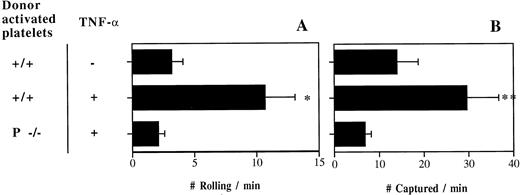 Fig. 2. P-selectin of activated platelets can mediate interactions with TNF-α–treated venules in P- and E-selectin double-deficient mice. Number of (A) rolling and (B) captured platelets per minute; n = 5 to 8. *P < .05 v the other 2 groups; **P = .01 v P−/− platelets.