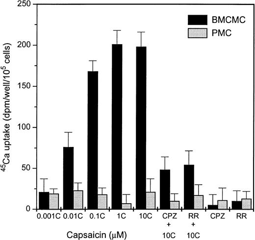 Fig. 5. Capsaicin induces 45Ca uptake in BMCMCs but not in PMCs. Cells were challenged with different concentrations of capsaicin (C) for 30 minutes to induce 45Ca uptake. The vanilloid specificity of the capsaicin-induced response was determined by using 10 μmol/L capsazepine (CPZ) or with 5 μmol/L ruthenium red (RR) as vanilloid antagonists. Points represent mean over baseline values from sets of five determinations in three experiments in each case; error bars indicate SEM.
