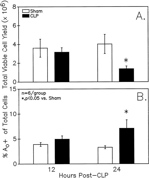 Fig. 1. Peyer's patch (A) total viable cell yield (as determined by trypan blue exclusion) from C3H/HeN mice is significantly different 24 but not 12 hours after CLP. Sepsis (CLP) induces a significant increase in the percentage of mixed Peyer's patch cells that are determined to be (B) Ao+ by DAPI stain. Significance indicated by * at P< .05 versus sham, Mann-WhitneyU test; Mean ± SEM; n = 6 mice sampled /group.